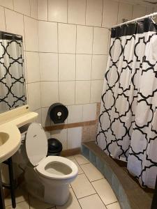 阿拉胡埃拉Alajuela Backpackers Airport Hostel的一间带卫生间和淋浴帘的浴室