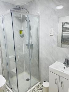 伦敦Riverside En suite Double Room E14的带淋浴的浴室(带卫生间和水槽)