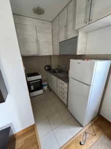 佩特罗瓦纳莫鲁Petrovac apartment的厨房配有白色橱柜和白色冰箱。