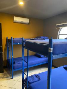 阿拉胡埃拉Alajuela Backpackers Airport Hostel的客房设有两张双层床和风扇。