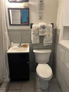 AuroraHillcrist Motel的一间带卫生间、水槽和镜子的浴室