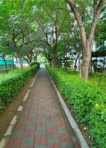NamyangjuA Four Leaf Clover House的树木繁茂的公园里的砖路