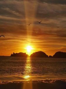 圣帕特里西奥梅拉克CASA PLAYITA MELAQUE的一群鸟在日落时分飞越海洋
