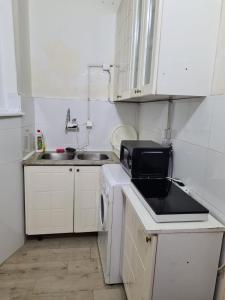 贝尔格莱德Downtown Belgrade Homestay的白色的小厨房配有水槽和微波炉