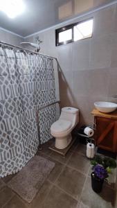 比加瓜Bungalows Paraíso Celeste的浴室配有卫生间、淋浴和盥洗盆。