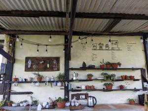Ðưc TrọngIvy Coffee Farm - Garden House的墙上有植物和盆架的房间
