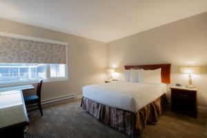 坎卢普斯Scott's Inn & Suites的配有一张床、一张书桌和一扇窗户的酒店客房