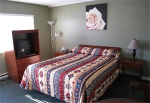 措瓦森海滩树林汽车旅馆的一间酒店客房,配有一张床和一台电视