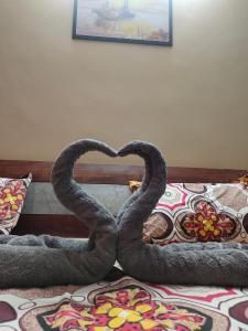 索尼帕特Yb home的睡床上一对蛇形成心形