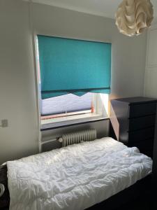 哥本哈根Nice room near airport的一间卧室设有一张床和一个蓝色的窗户。