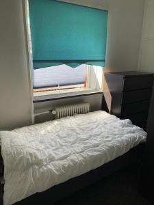 哥本哈根Nice room near airport的一间卧室配有一张床和一个带蓝色窗帘的窗户