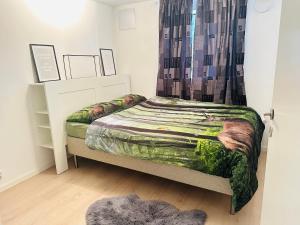 斯塔万格«Sea View Apartment Finnøy Island»的一间卧室配有一张带窗帘和地毯的床