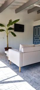 图利亚拉Flamingo résidence的客厅配有2张白色沙发和植物