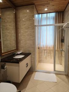 仁爱乡清境艺家原景观庄园的带淋浴、水槽和玻璃淋浴间的浴室