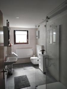 SeibersbachGästehaus Silbersbach的带淋浴、盥洗盆和卫生间的浴室