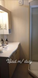 StangeSøberget的一间带水槽、镜子和淋浴的浴室