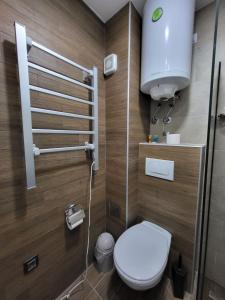 科帕奥尼克Kloudscape Apartman Milmari Resort & Spa的一间带卫生间和水槽的小浴室