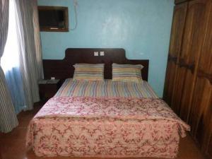 IyibaRoom in Lodge - Garentiti Apartment - Silver Room的一间卧室配有一张大床和粉红色的床罩
