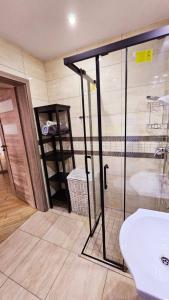 皮拉Apartament Młynarska的带淋浴和白色盥洗盆的浴室