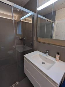 施伦贝格TinyHouse - (D)ein Ferienhaus的一间带水槽、镜子和淋浴的浴室
