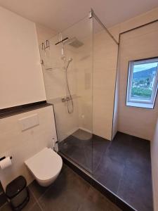 诺伊马根-德赫龙Willi's Moselschlösschen的一间带卫生间和淋浴及窗户的浴室
