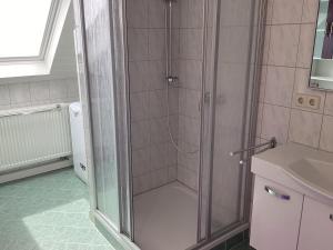 WernesgrünFerienhaus Wernesgrün的浴室里设有玻璃门淋浴