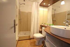 维拉尔-德朗Joli studio & Belle Vue + wifi的浴室配有卫生间、盥洗盆和淋浴。