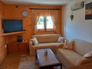 BlidinjeGreen cottage的客厅配有两张沙发和一台电视