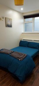 罗姆福特Romford Lodge的一间卧室设有两张蓝色的床和窗户