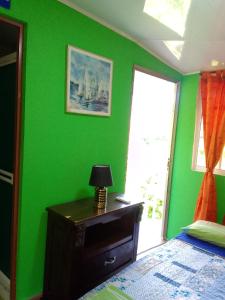 普罗维登西亚Posada Hostel Adri的一间绿色卧室,配有一张床和一个梳妆台上的灯