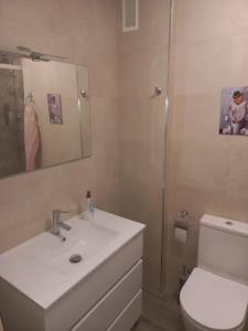 阿维拉CASA ESQUILAS的一间带水槽、卫生间和镜子的浴室