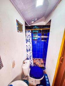 普罗维登西亚Posada Hostel Adri的浴室配有蓝色瓷砖淋浴和卫生间。