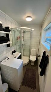 斯沃尔韦尔Strøken liten leilighet i Svolvær.的一间带水槽、淋浴和卫生间的浴室