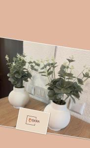 茹帕尼亚Studio apartman Iskra, self check IN-OUT的两个白花瓶,桌子上放着植物