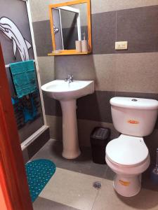 巴克里索莫雷诺港Kicker House的一间带卫生间和水槽的小浴室