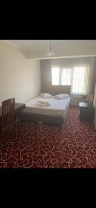 AltındağAltunlar erkek ögrenci yurdu的一间铺有红地毯的卧室,配有一张床和一把椅子
