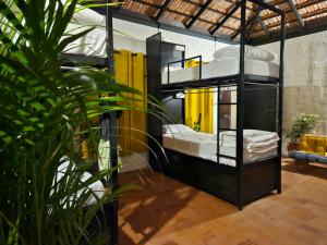 桑提科帕beNomadic Eco Hostel, Madikeri, Coorg的一间设有两张双层床的客房和植物