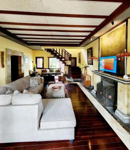 不拉士打宜Balinese Villa in Berastagi的带沙发和壁炉的客厅