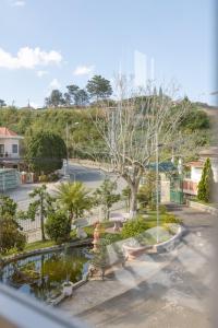 阿普春安BACH TUNG Garden Village Đà Lạt的享有公园的树木和喷泉美景