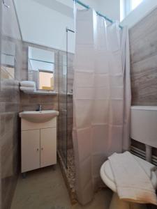 BuzăuIDR HOUSE的浴室配有卫生间、盥洗盆和淋浴。