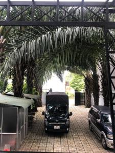Xa Dau GiayGreen Ville Hotel Đồng Nai的停在棕榈树拱门下的货车