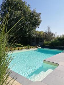 洛维涅LE CLOS DU MONTYS的一个带草地的庭院内的游泳池