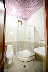 塞凡Sevan Island Cottage的带淋浴、卫生间和盥洗盆的浴室