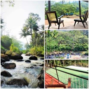 DemoderaArtomoro Ceylon motel的一张有长凳的河流的四张照片