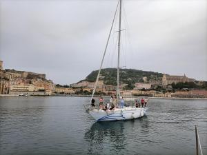 福尔米亚Barca a vela BREEZE的一群人乘坐帆船在水中