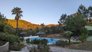 Montes de CimaCasa do Palmeiral - Hoom B&B的一个带游泳池和棕榈树的度假村