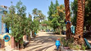 卢克索Luxor Old Nile Hotel的公园里的一排棕榈树