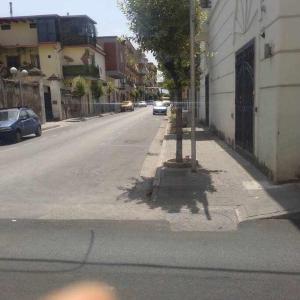AcerraAL Civico 24的路边有树的街道
