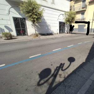 AcerraAL Civico 24的街上一只猫的影子