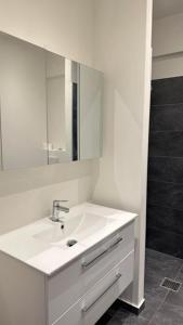 瓦埃勒City Apartment Dæmningen Vejle的白色的浴室设有水槽和镜子